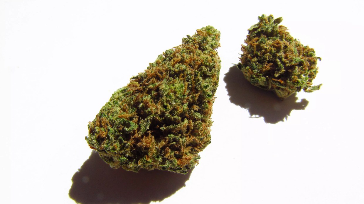 Why Colorado Tokers Love Passion Orange Guava