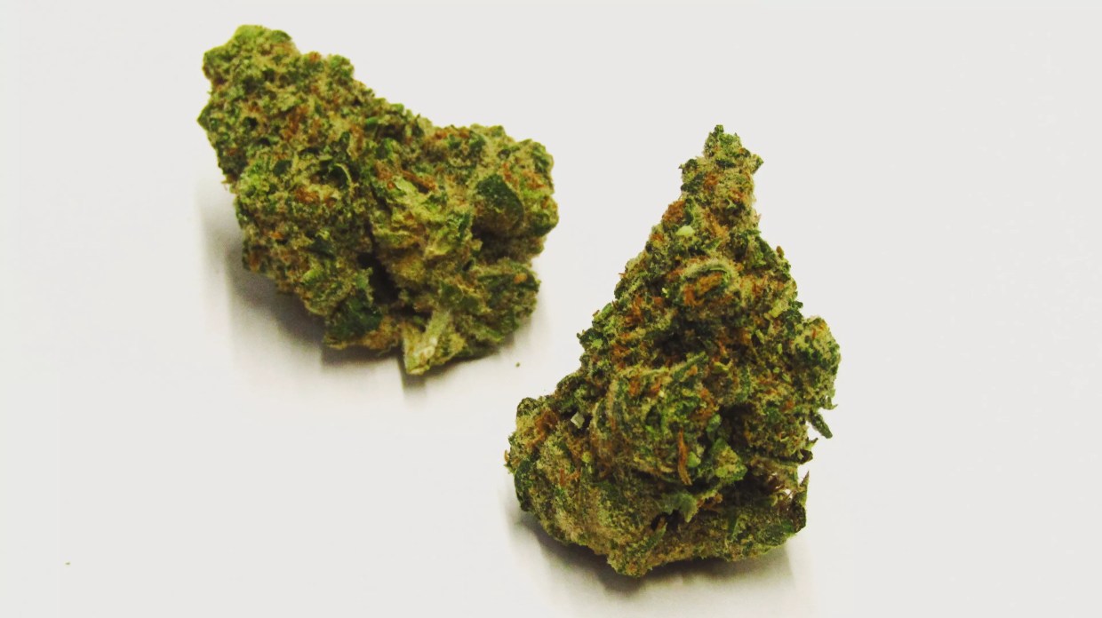 Why Colorado Tokers Love Guava Chem