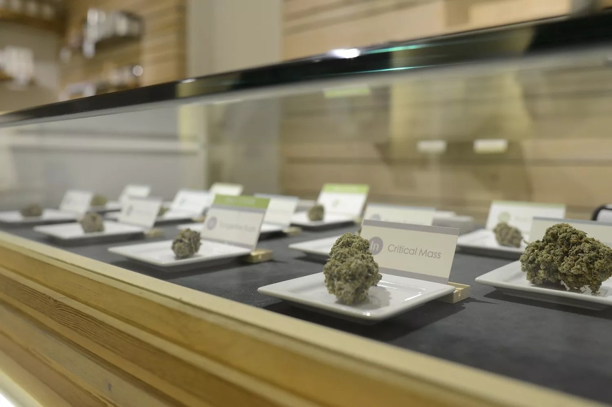 Colorado Pot Prices Reach Three-Year High, Up 25 Percent Since July