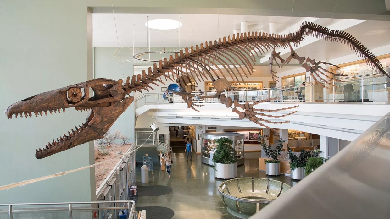 Gary Thompson Discovered a New Dinosaur Species…Four Decades Later