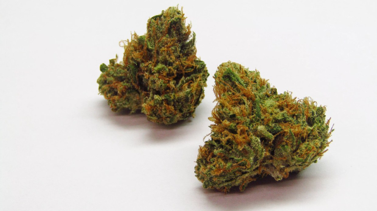 Why Colorado Tokers Love Tangerine Dream