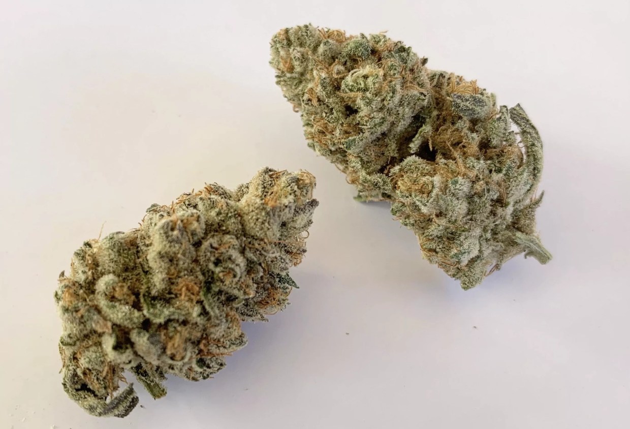 Why Colorado Tokers Love Hulkamania