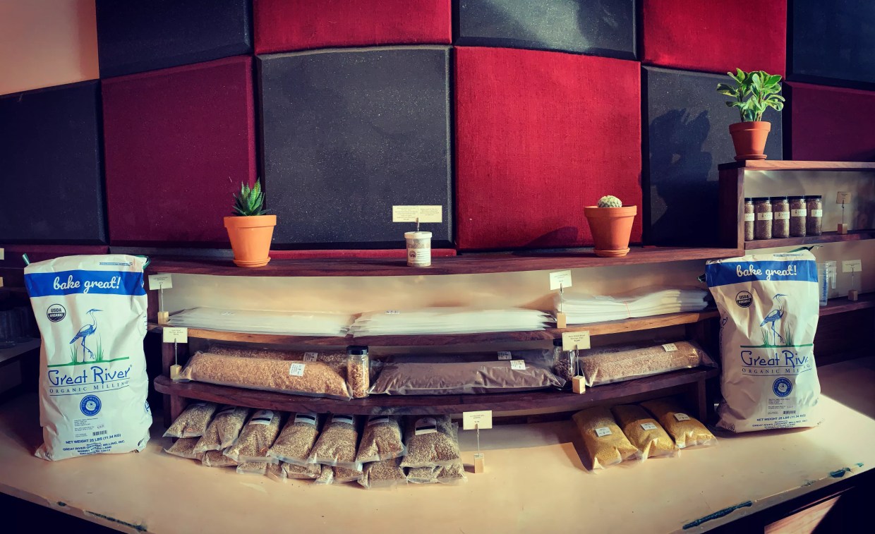 Lion’s Mane, a Mushroom Lover’s Supply Store, Takes Root in RiNo