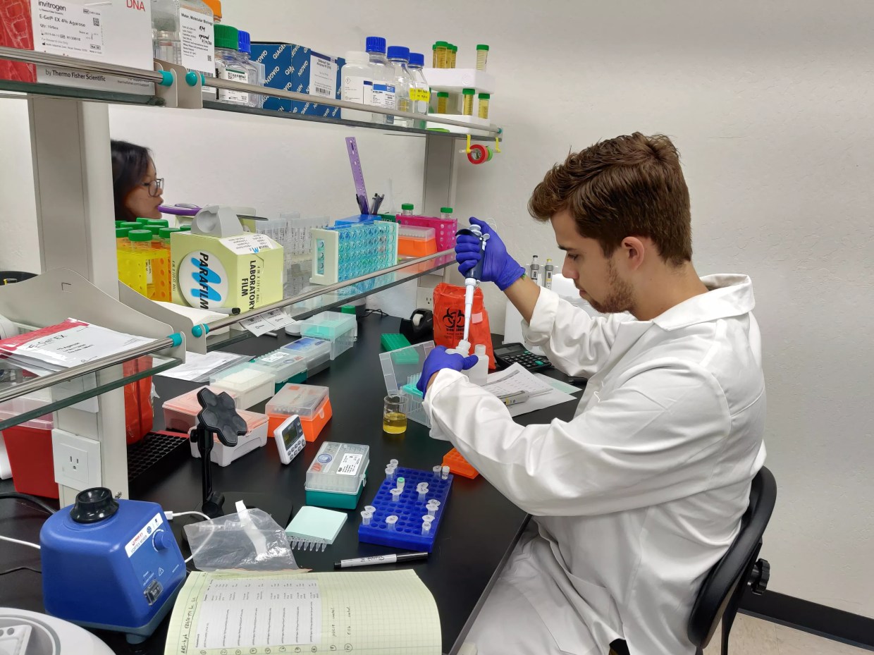 CBYeast: Biotech Companies Are Pulling Cannabinoids From Yeast