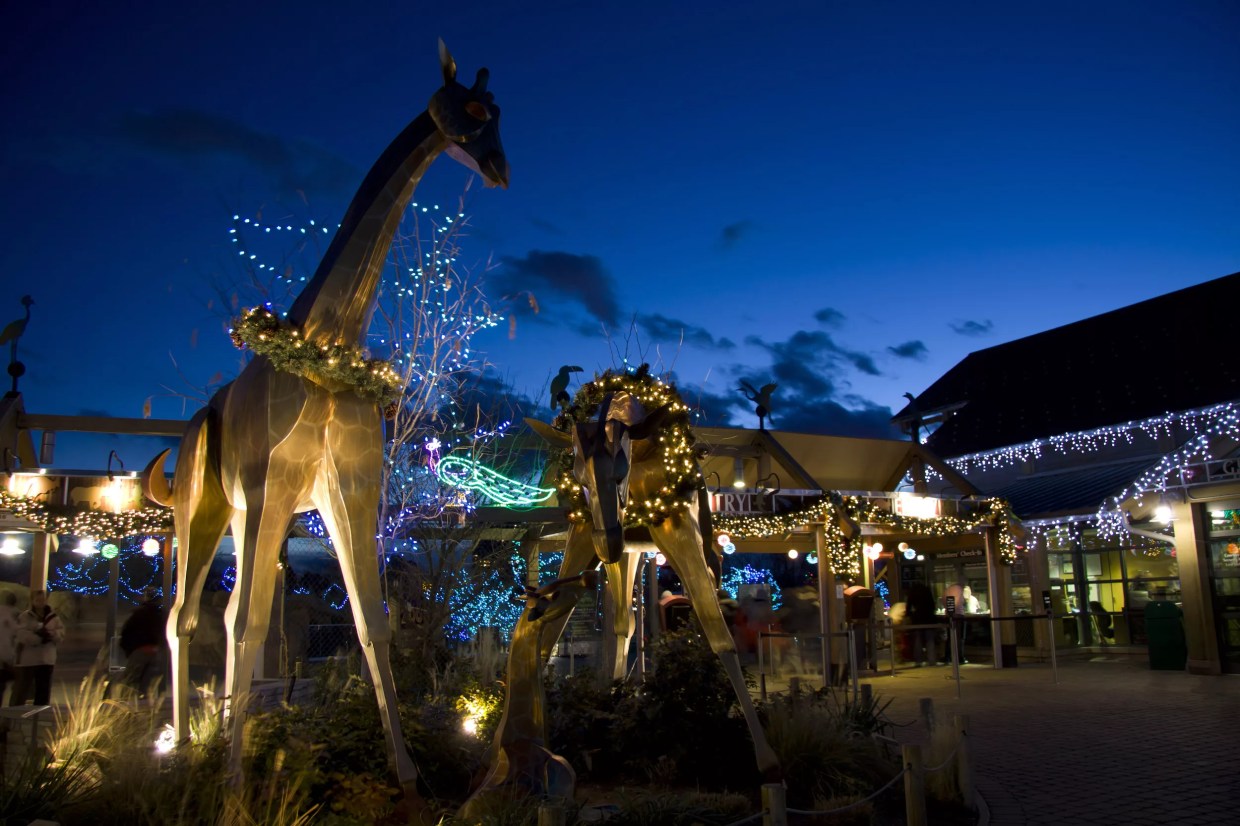 Five Pandemic-Proof Holiday Adventures for the Family