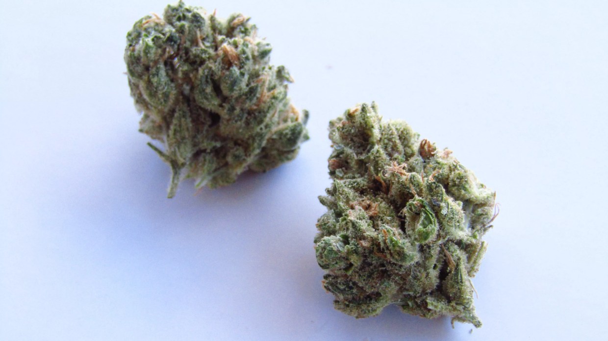 Why Colorado Tokers Love Cobra Lips