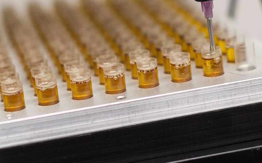 FTC Crackdown “Operation CBDeceit” Fingers a Longmont CBD Company