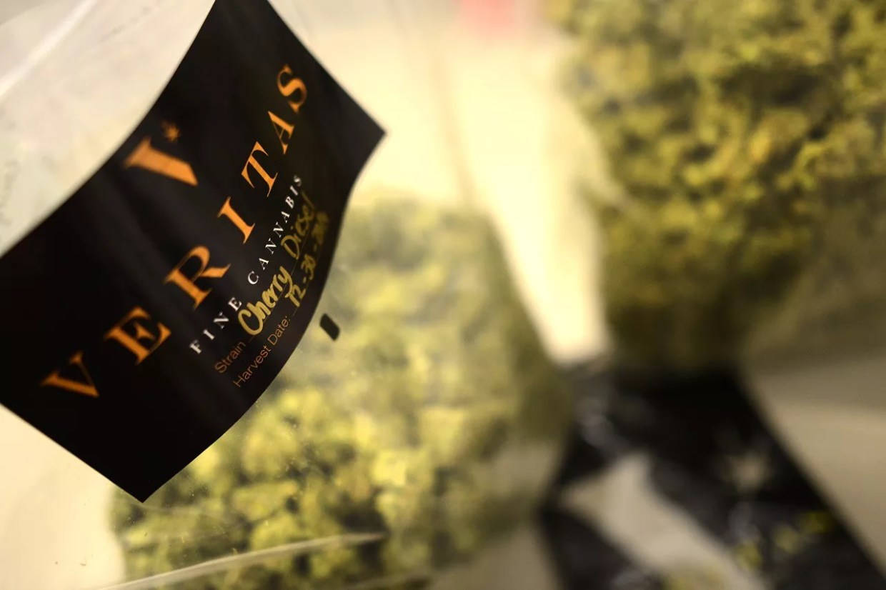 Veritas Fine Cannabis Hit With Mold Recall for Two Batches