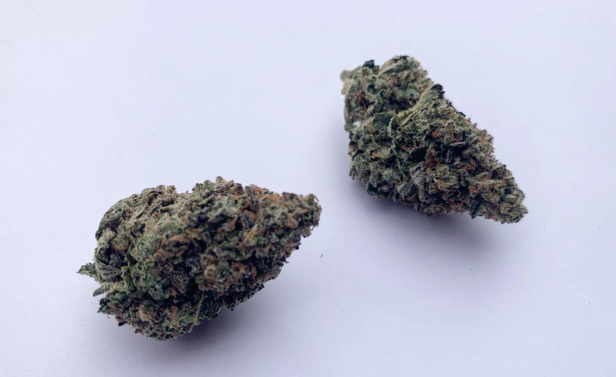 Why Colorado Tokers Love Petrol Rainbow