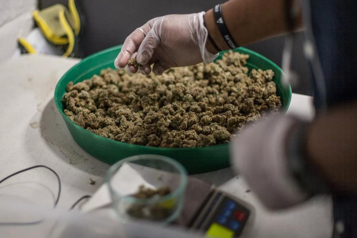 Op-Ed: Colorado’s Social Equity Marijuana Rules Serve Big Business