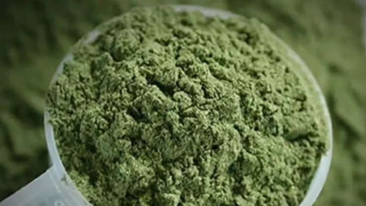 Kratom Ban in Monument and Bid to Overturn It