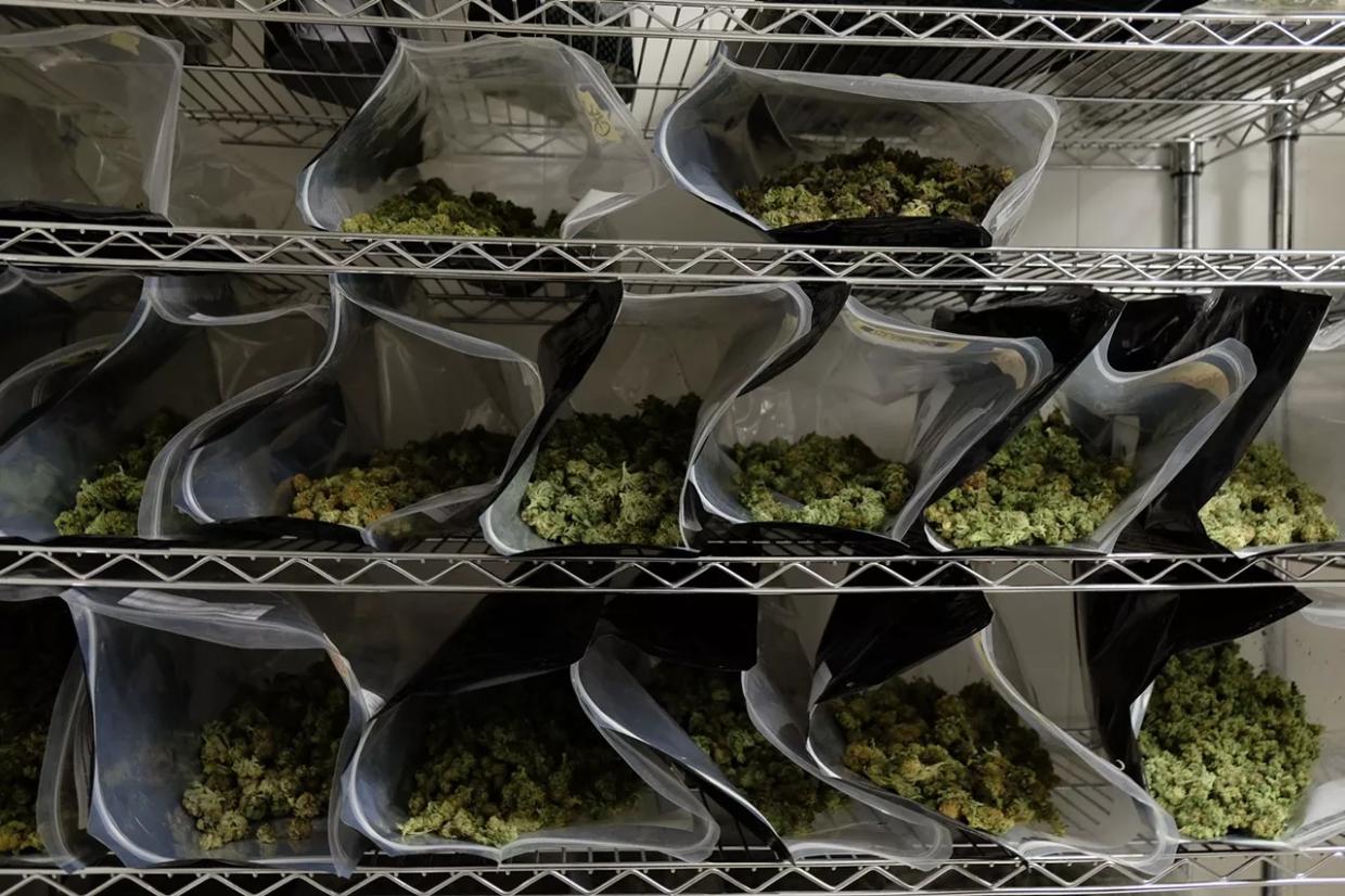 Colorado Marijuana License Holder Charged With Business Front to Illegally Sell Pot