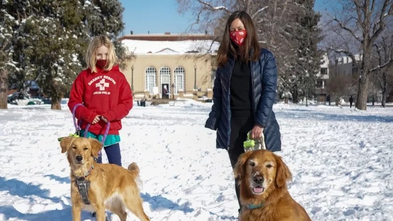 Pepper-Sprayed Puppy Inspires Call for Off-Leash Hours at Denver Parks