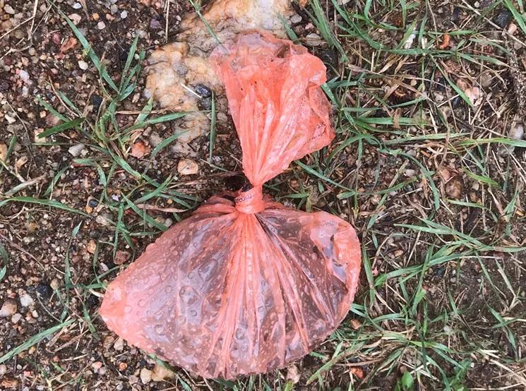 Reader: There Are So Many Entitled Douchebag Dog Owners