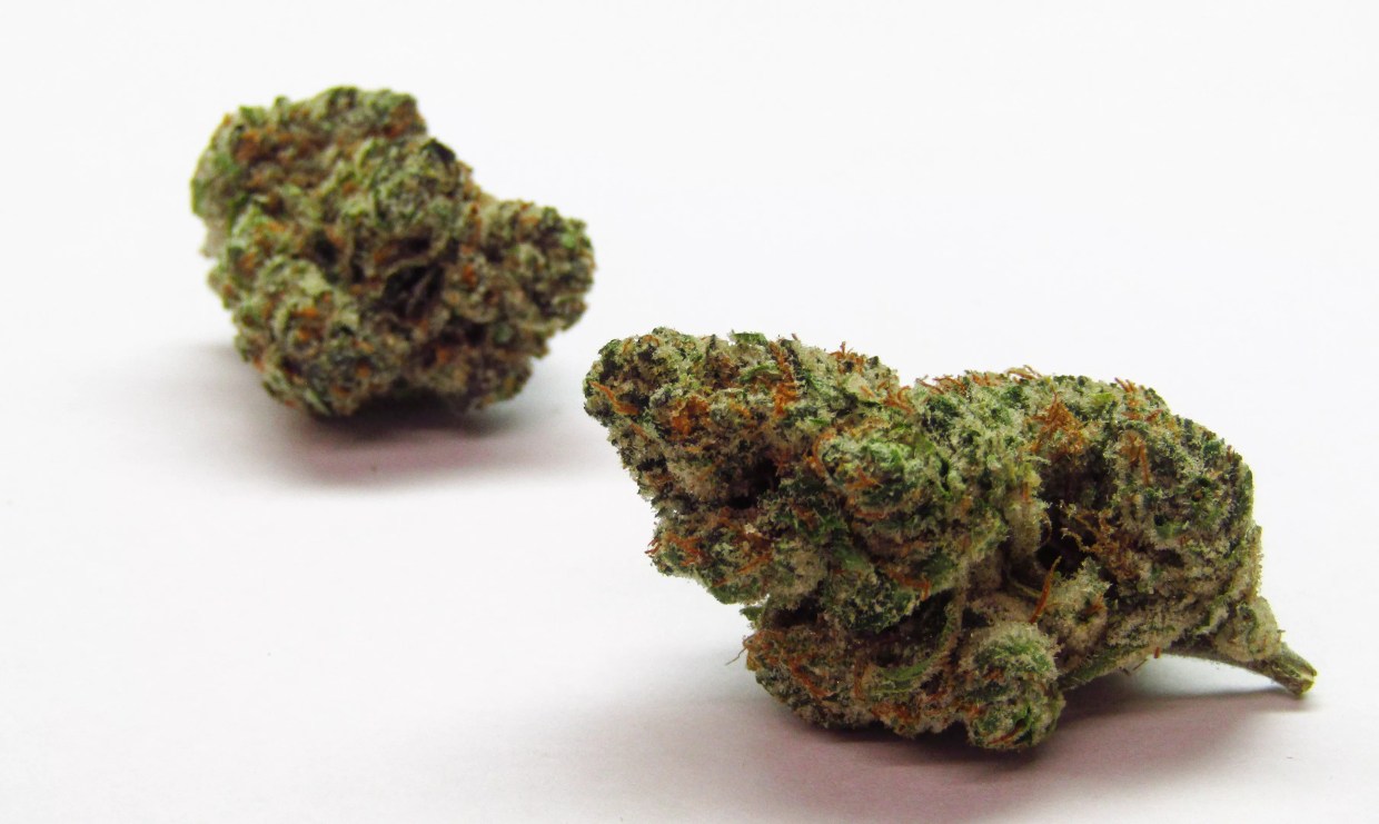 Why Colorado Tokers Love Rainbow Cookies