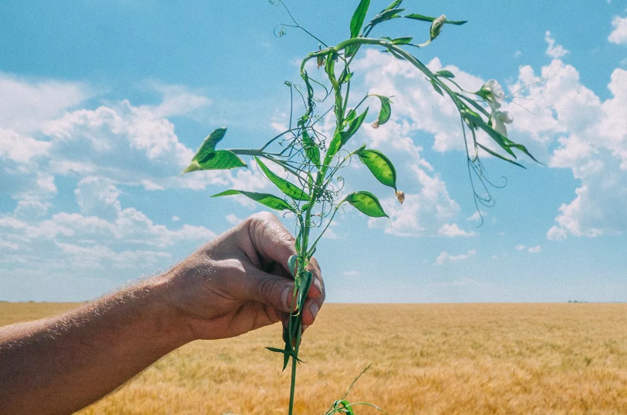 Restore Colorado Will Take Diners From the Table to the Farm