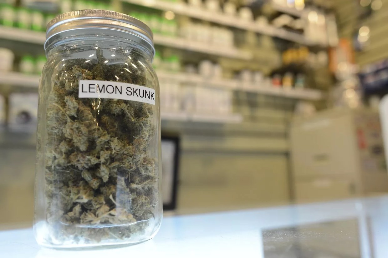 February Marijuana Sales Experience Calm Before the Storm