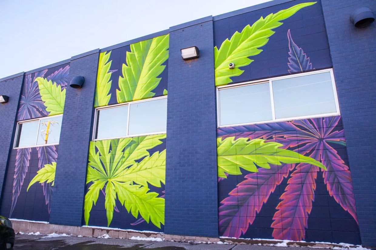 Denver Could Finalize Marijuana Rule Overhaul on 4/20