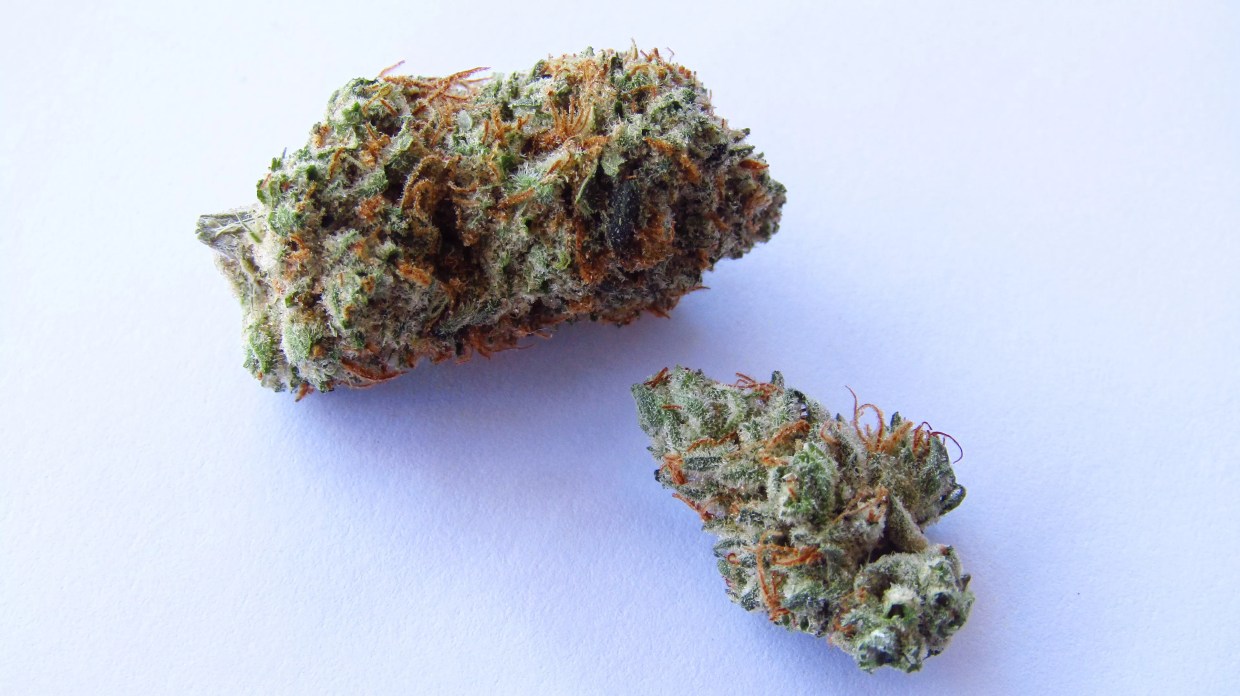 Why Colorado Tokers Love Chupacabra