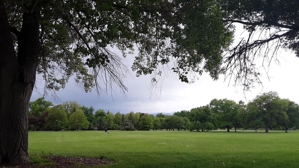 Take a Sonic Stroll With <i>Rain Cycle: A Denver Soundwalk</i>