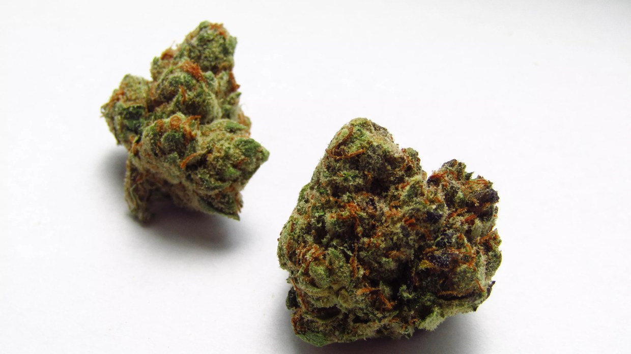 Why Colorado Tokers Love Don Shula OG