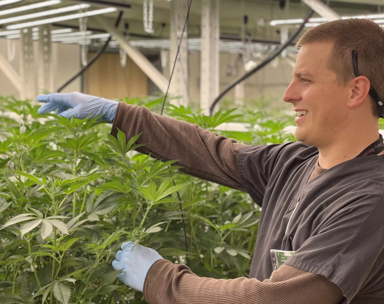 Cherry’s Head Growers Talk Cannabis Cultivation, Genetics