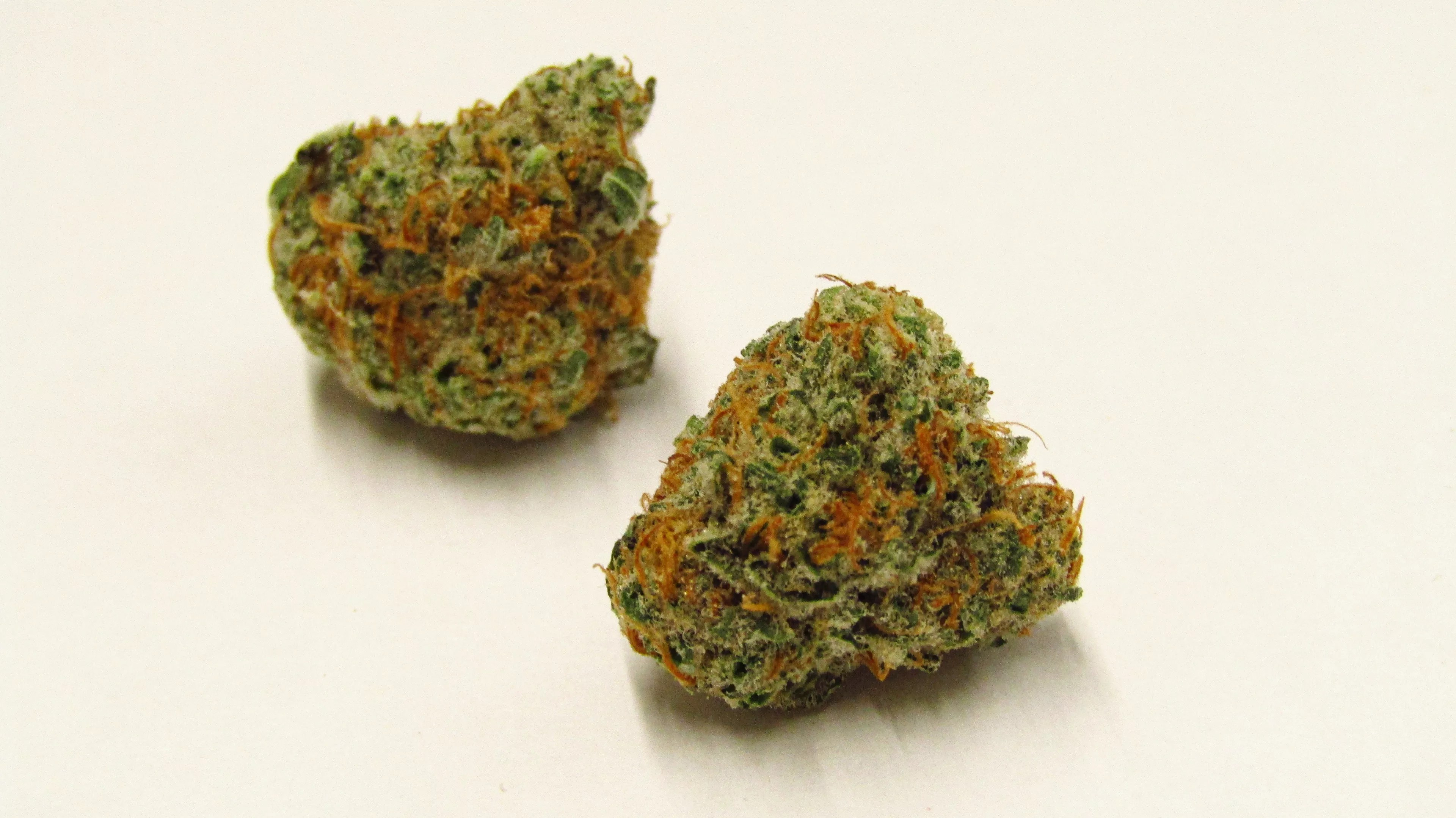 Peach Crescendo cannabis strain