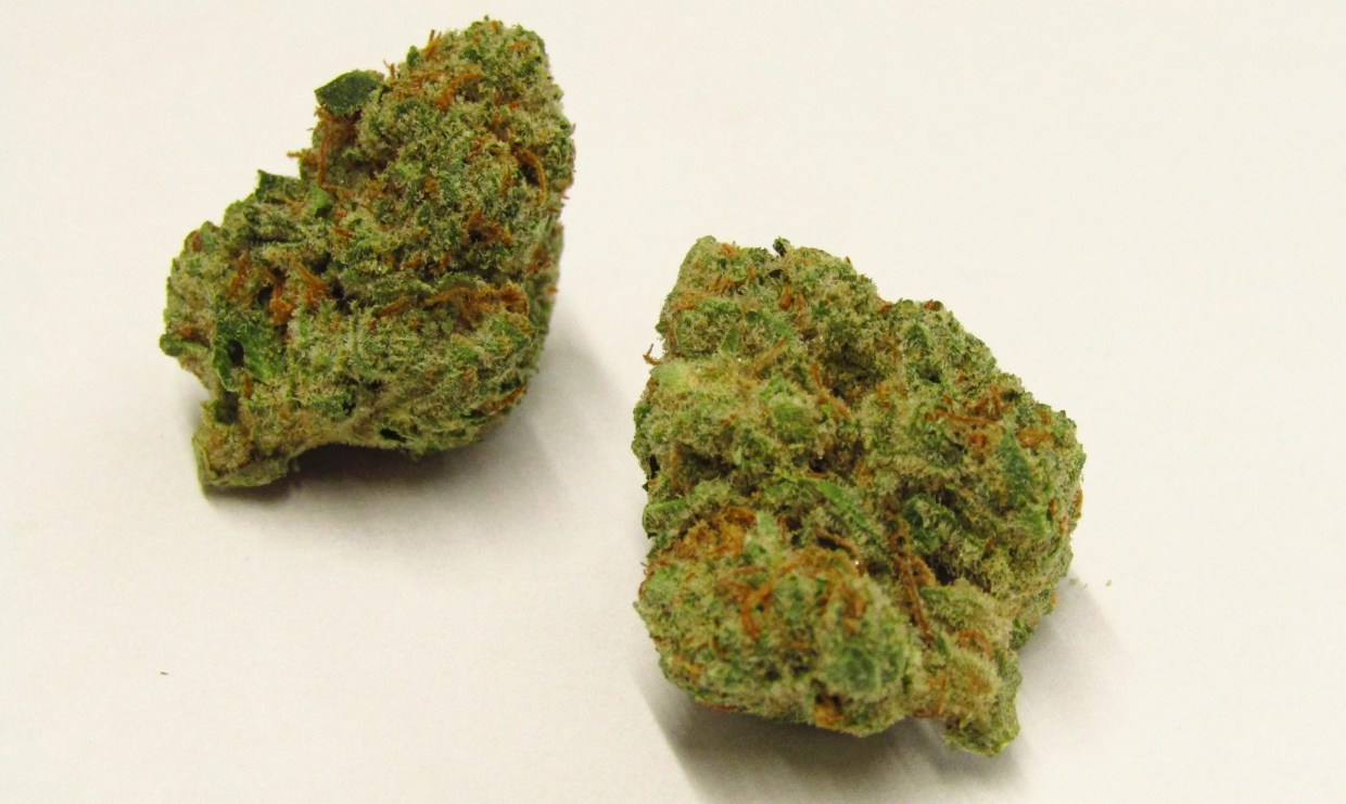 Why Colorado Tokers Love Sunburn