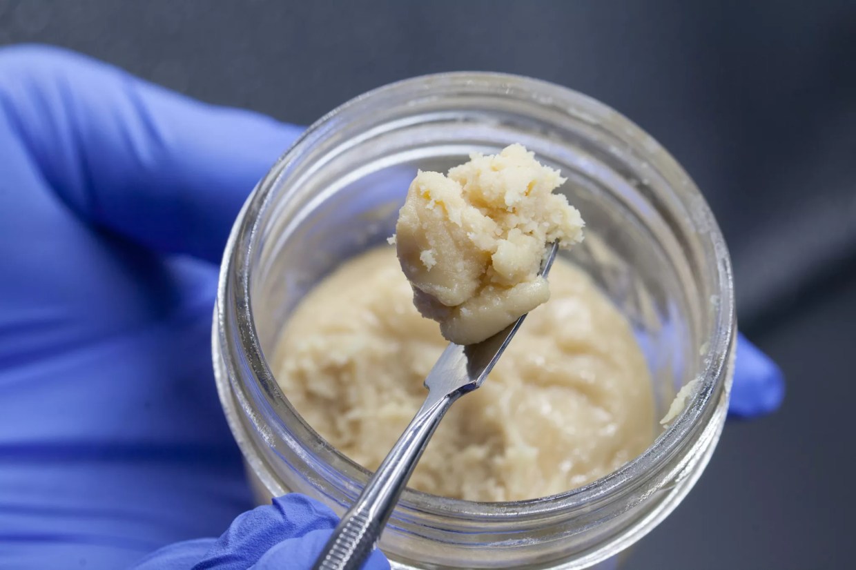 Colorado Starts Considering Marijuana Concentrate Restrictions