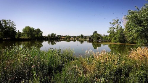 Opinion: The Theft of Lakewood