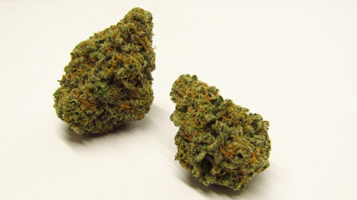 Why Colorado Tokers Love Banana MAC