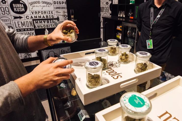 Budtender grabs jars of marijuana inside of a dispensary