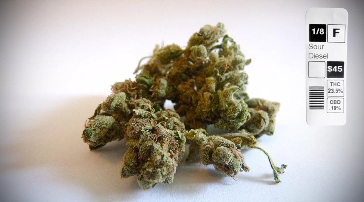 As Legal Marijuana Evolves, Does Sour Diesel Still Carry the Same Weight?