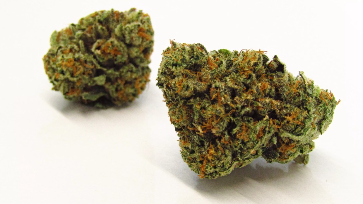 Why Colorado Tokers Love Laughing Gas