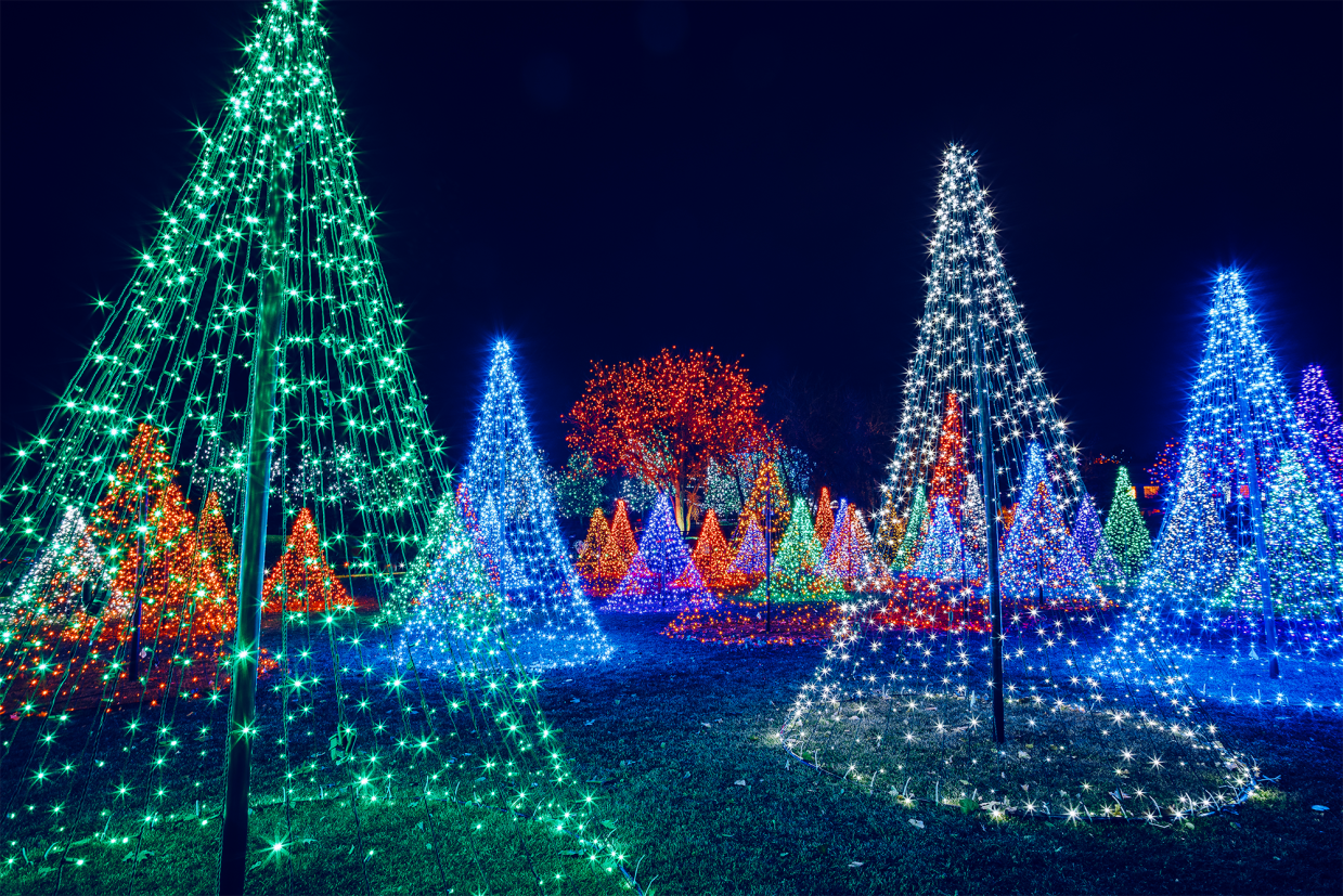 holiday lights shaped like christmas trees