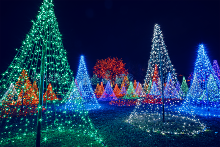 Best Christmas Lights and Holiday Displays in Denver