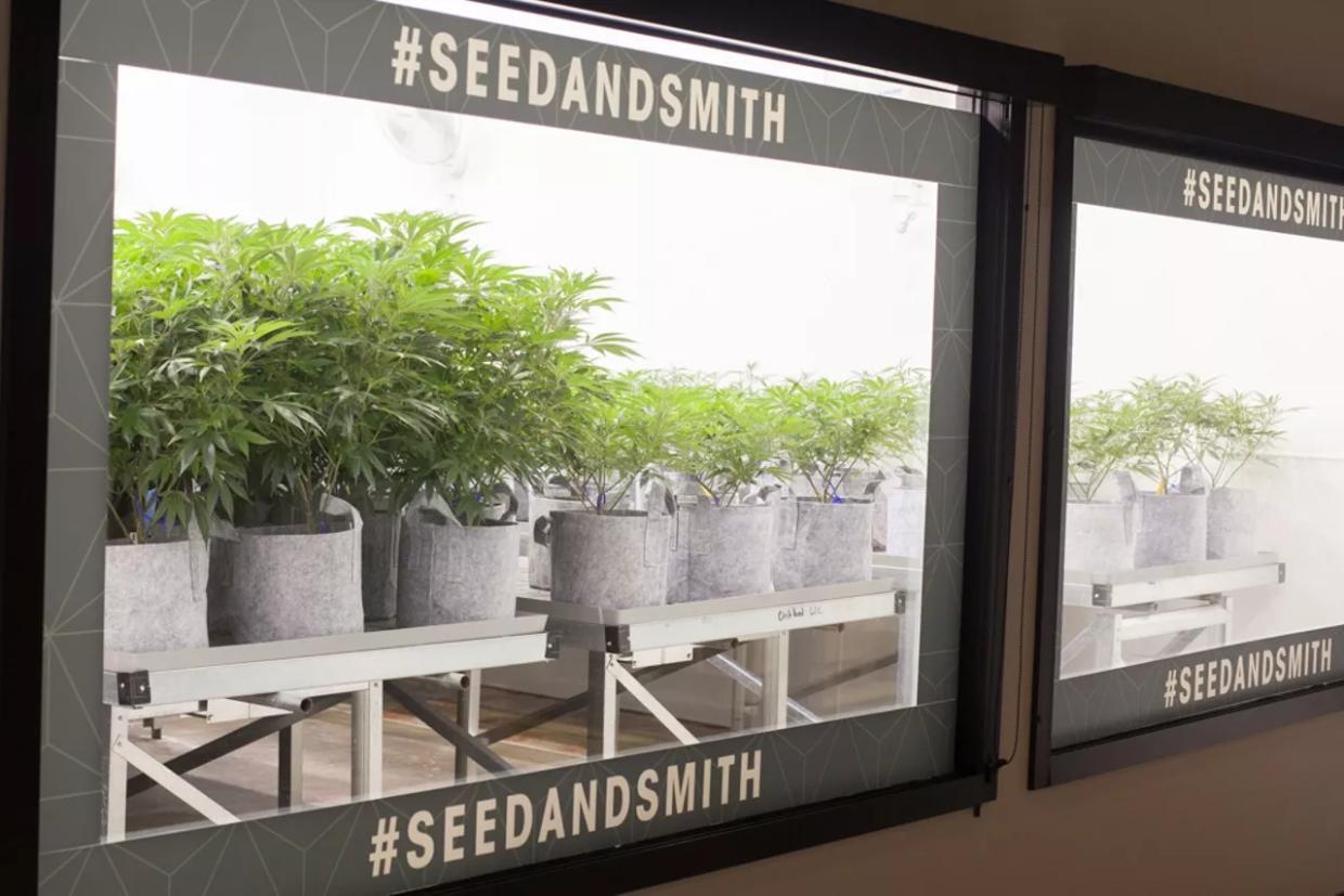 How Dispensaries Jump From “Green Wednesday” to Christmas