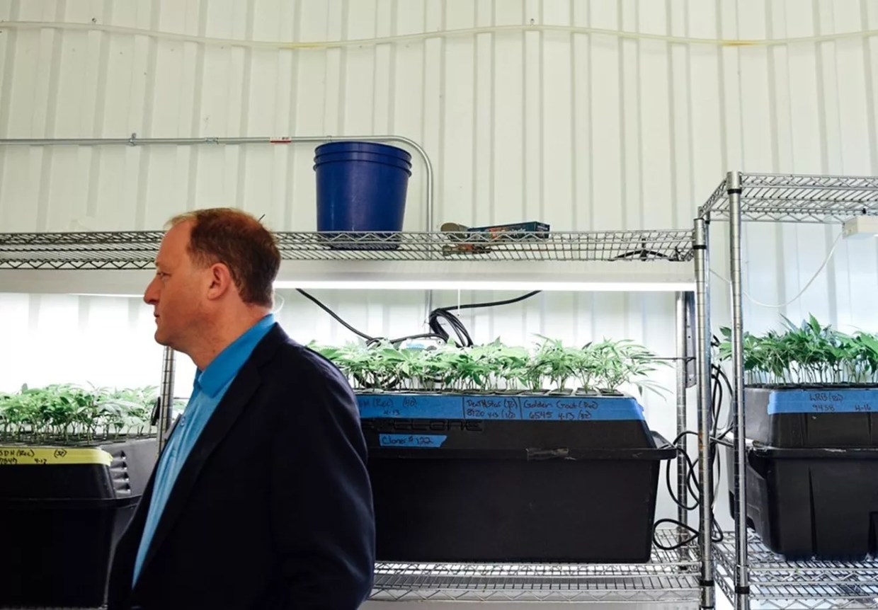 Governor Jared Polis Grants Another 1,351 Pardons for Marijuana Possession