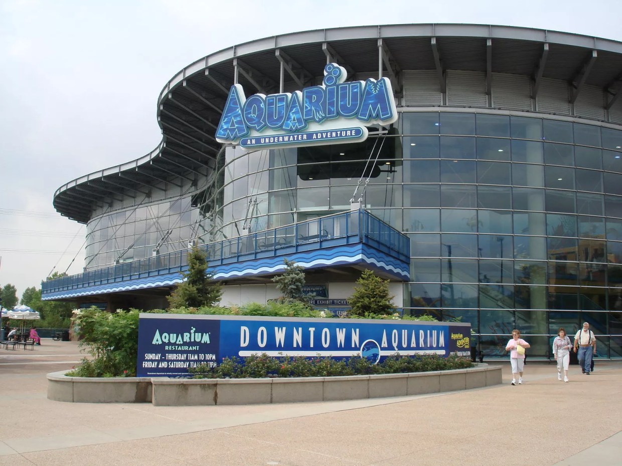 Something’s Fishy About Mask Mandate Enforcement at Downtown Aquarium