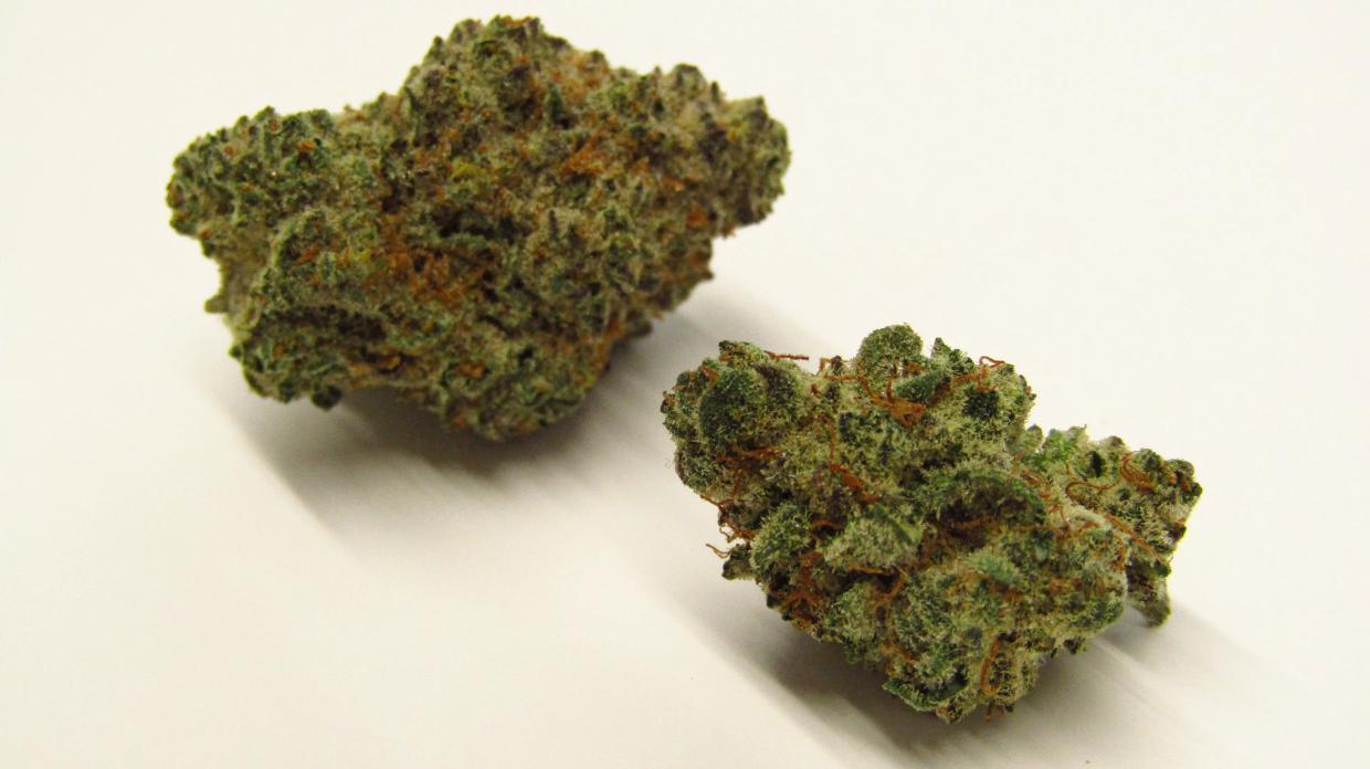 Why Colorado Tokers Love Mai Tai