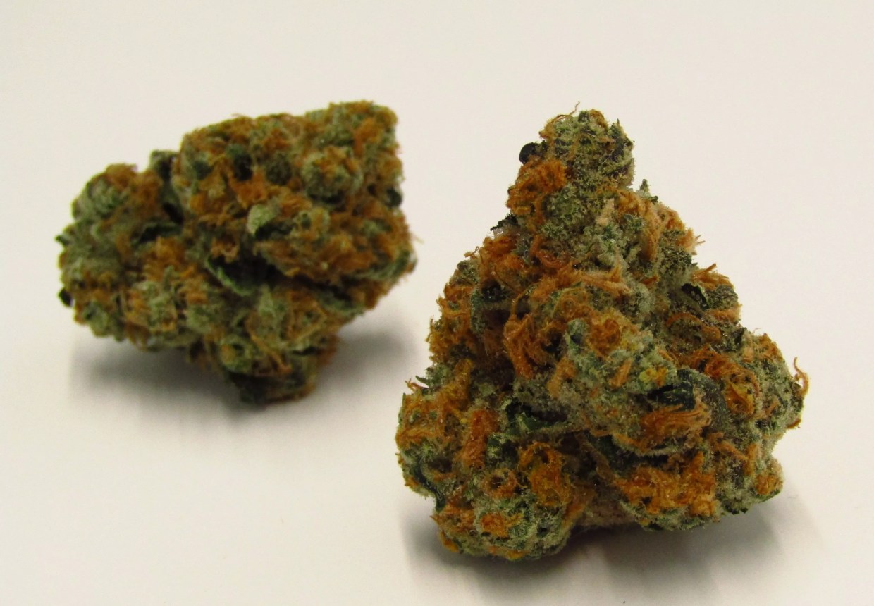 Why Colorado Tokers Love White Russian