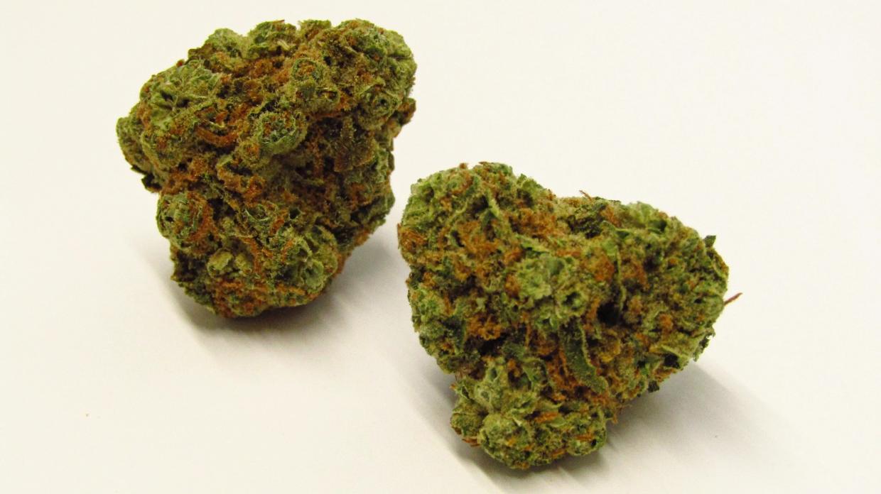 Why Colorado Tokers Love Honolulu Strange