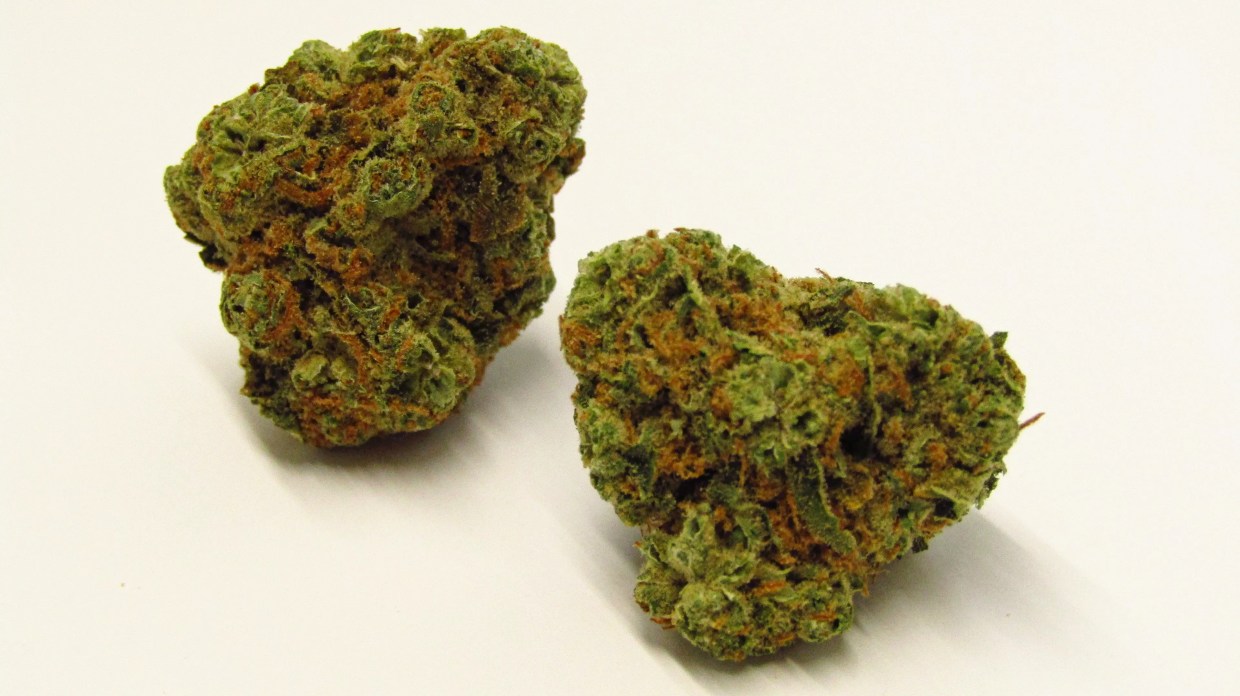 Why Colorado Tokers Love Honolulu Strange