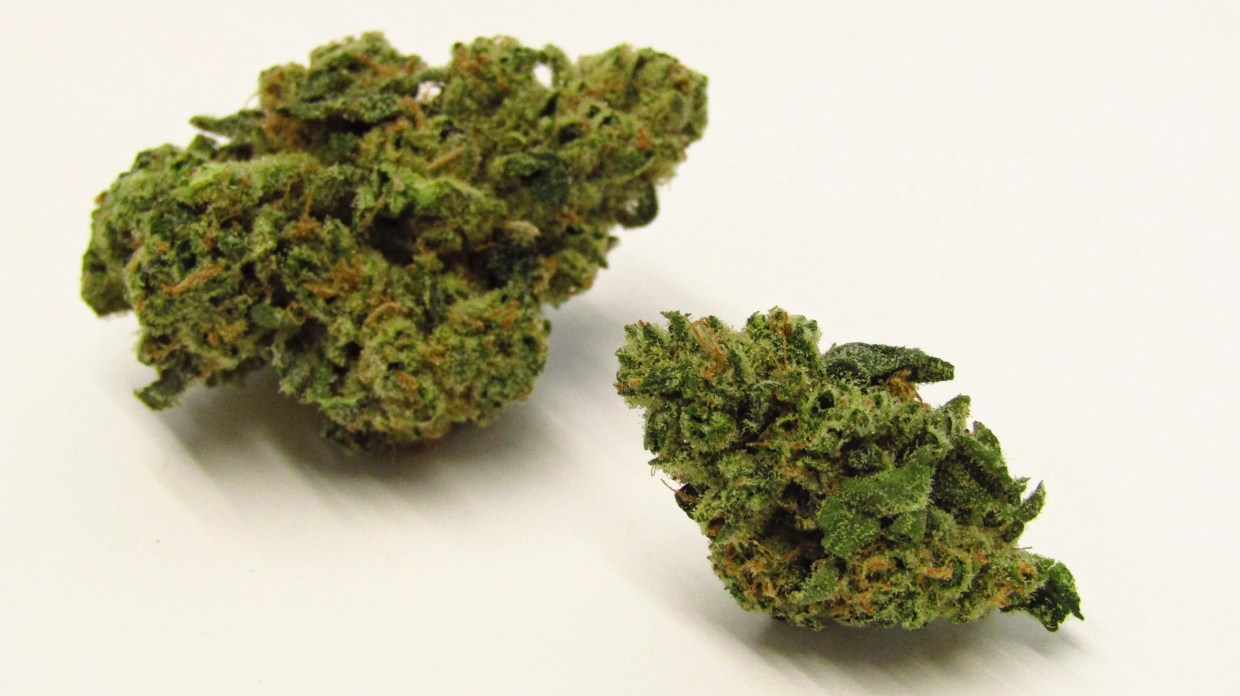 Why Colorado Tokers Love Key Lime Pie