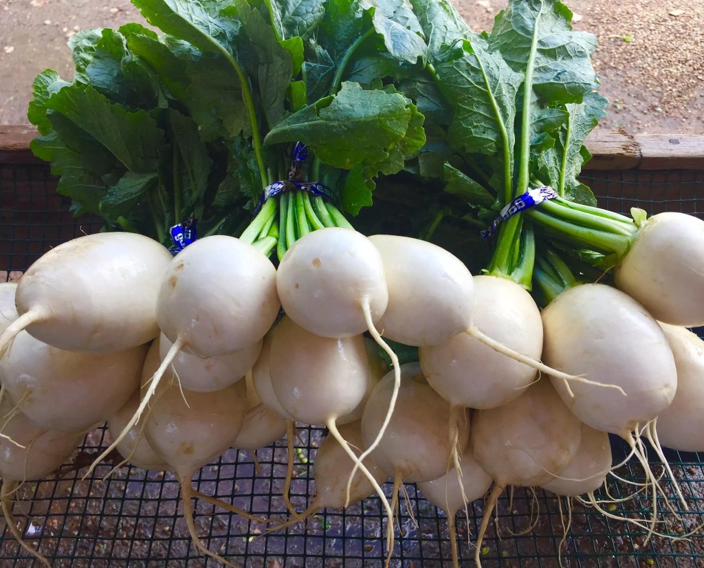 turnips