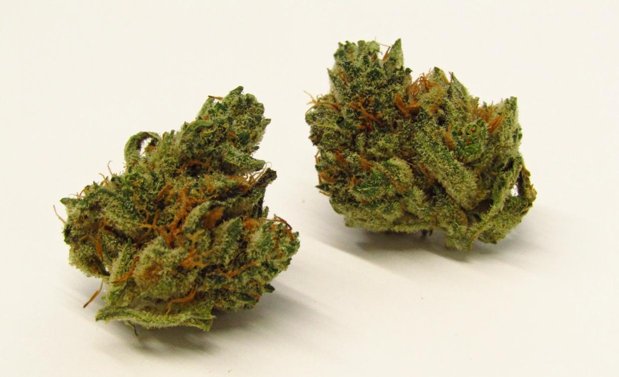Why Colorado Tokers Love Romulan