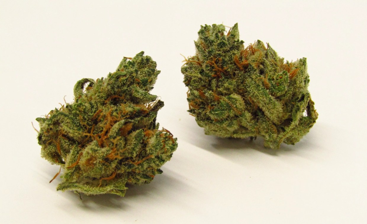 Why Colorado Tokers Love Romulan