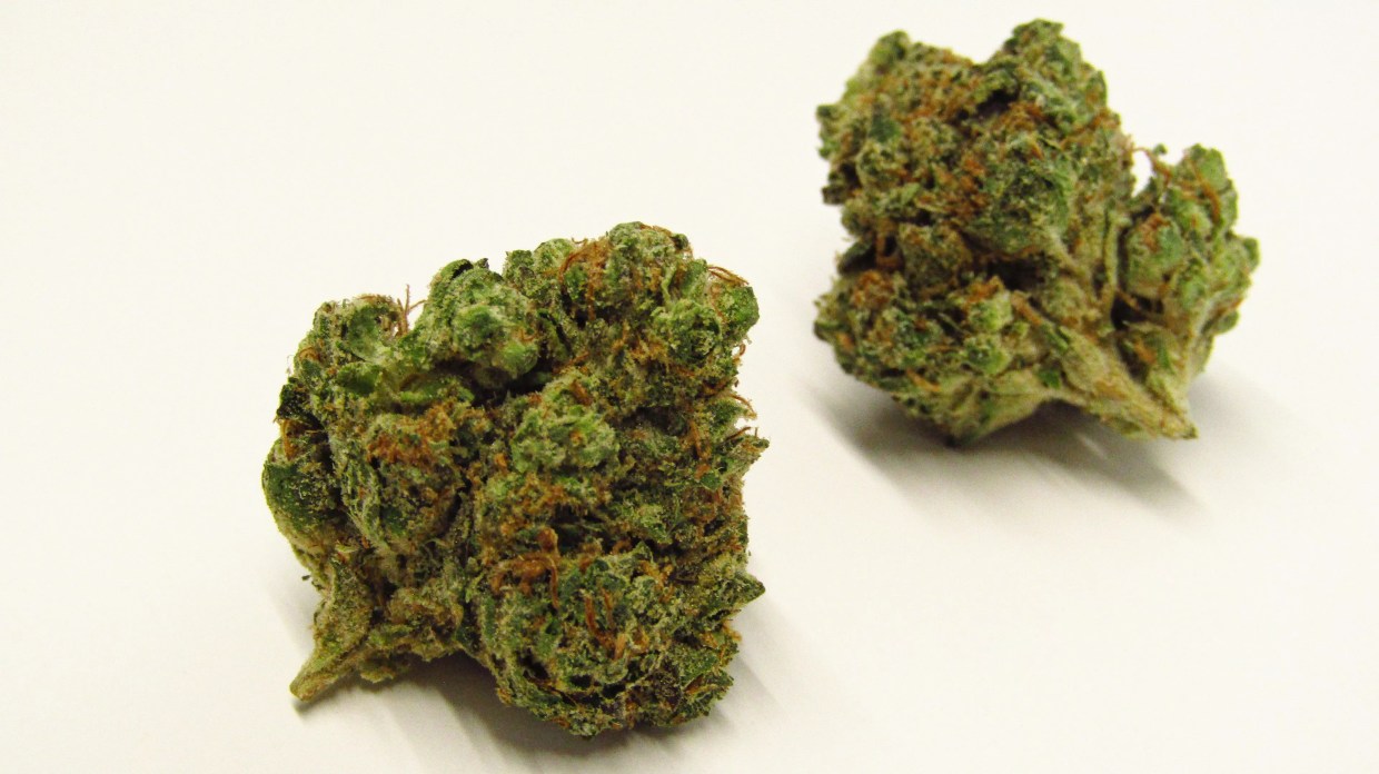 Why Colorado Tokers Love Kitchen Sink