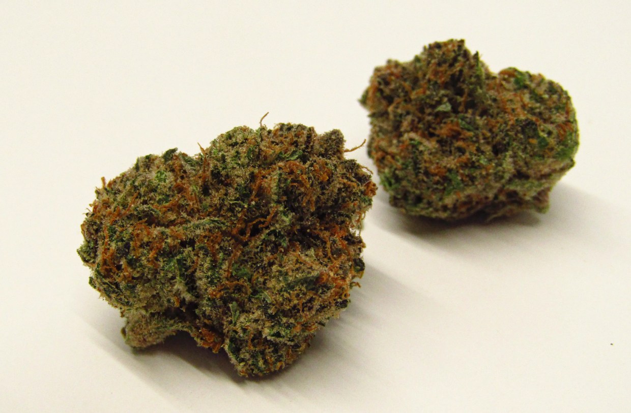 Why Colorado Tokers Love Dead Hot Strawberries