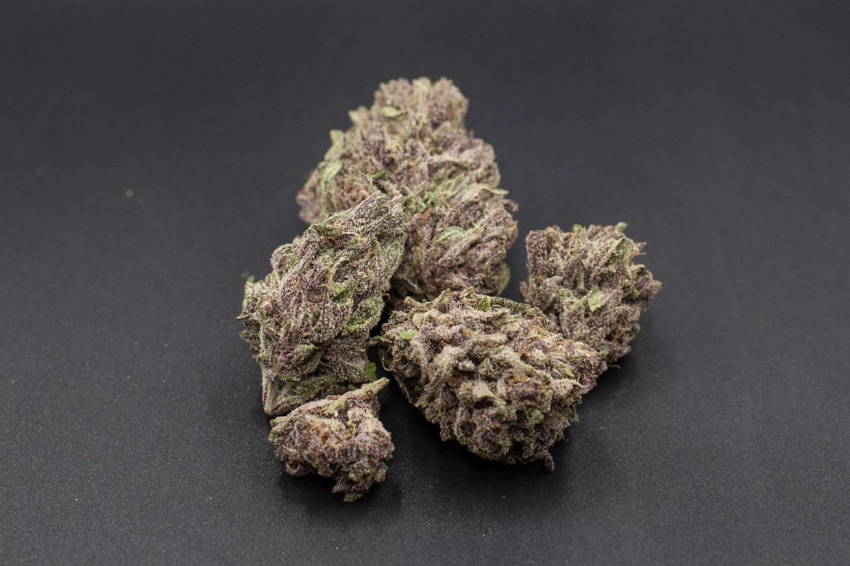 Pot Roast cannabis strain
